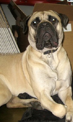 Ronja 15 kk/months